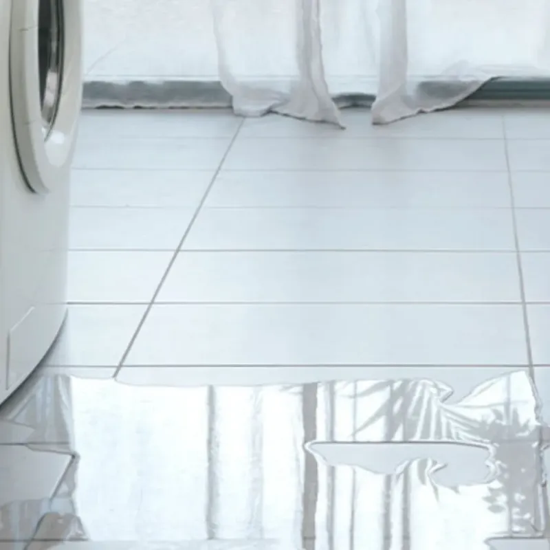 Appliance Leak Cleanup in Plain View, NC