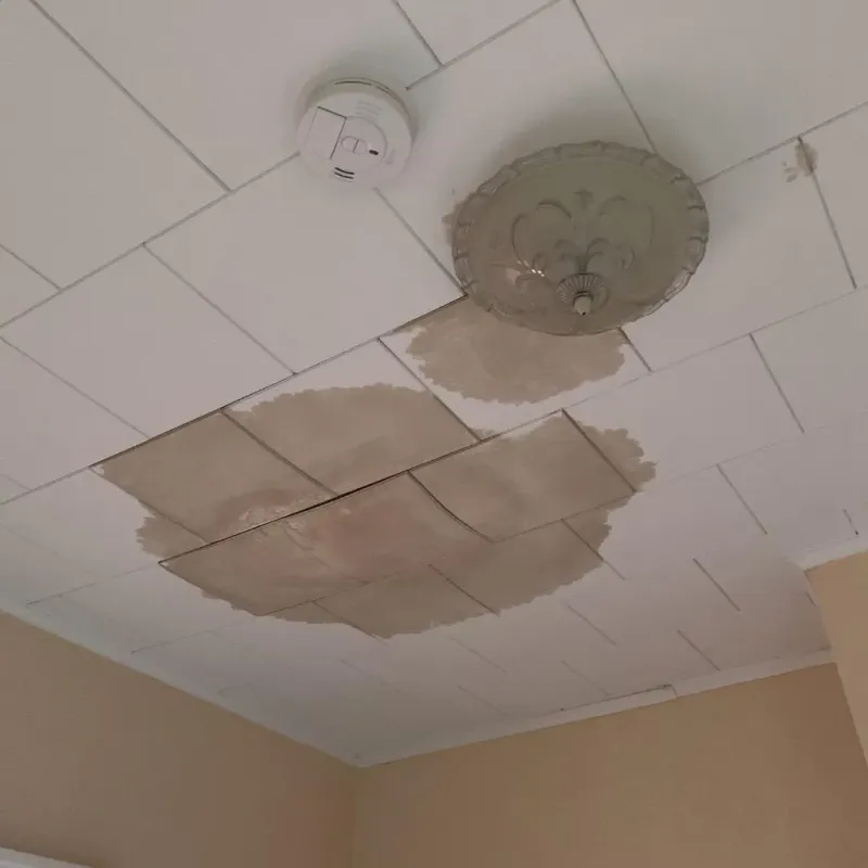 Ceiling Water Damage Repair in Plain View, NC