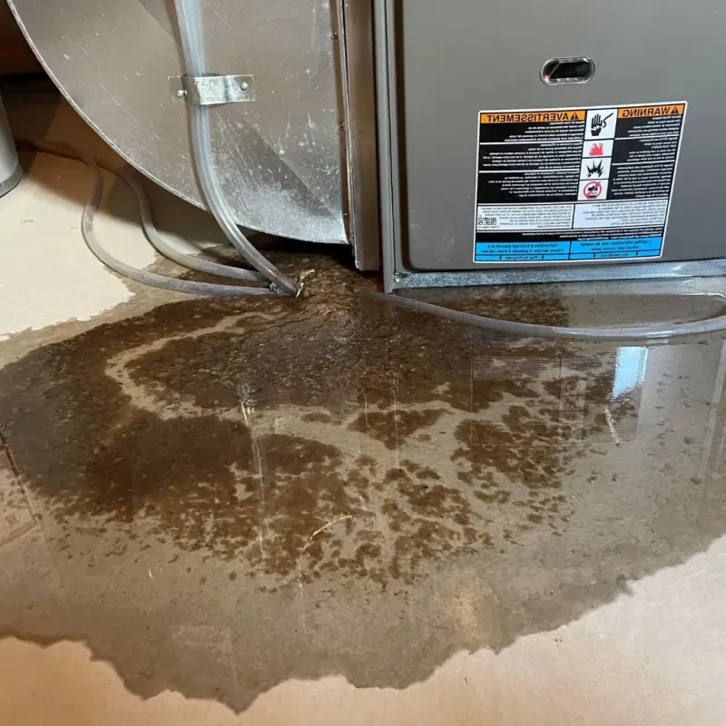 Pipe Burst and Leak Restoration in Plain View, NC