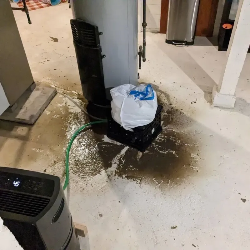 Sewage Backup Cleanup Service in Plain View, NC